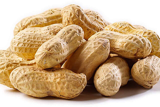 Jumbo Peanuts